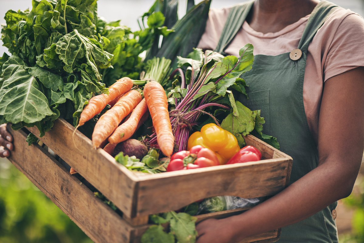 CSOGroupEESC's tweet image. 🌍 Tomorrow kicks off the #WFF2025 with the moto #BetterFoodsBetterFuture
Climate/geopolitical instability/socio-economic pressures are testing our food systems. The 🇪🇺EU must invest in innovation &amp;amp; generational renewal
Read @KerliAts in our #CSObulletin👉 link.europa.eu/8XXyjv