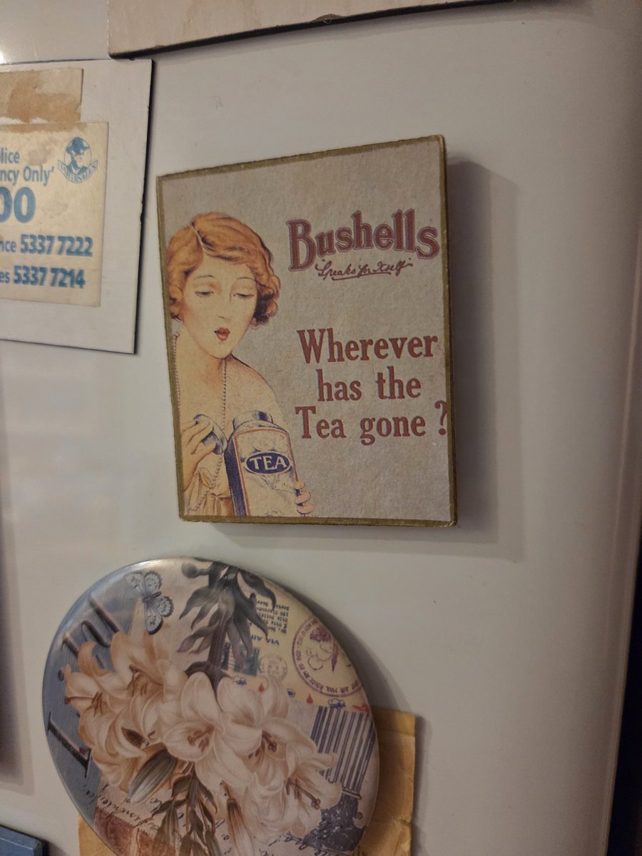 From my Nanna's fridge
"Wherever has the tea gone" ☕️