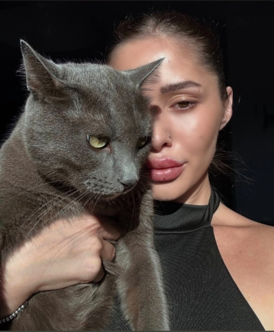 𝒮𝑜𝒻𝓎𝒶 💩 tweet media