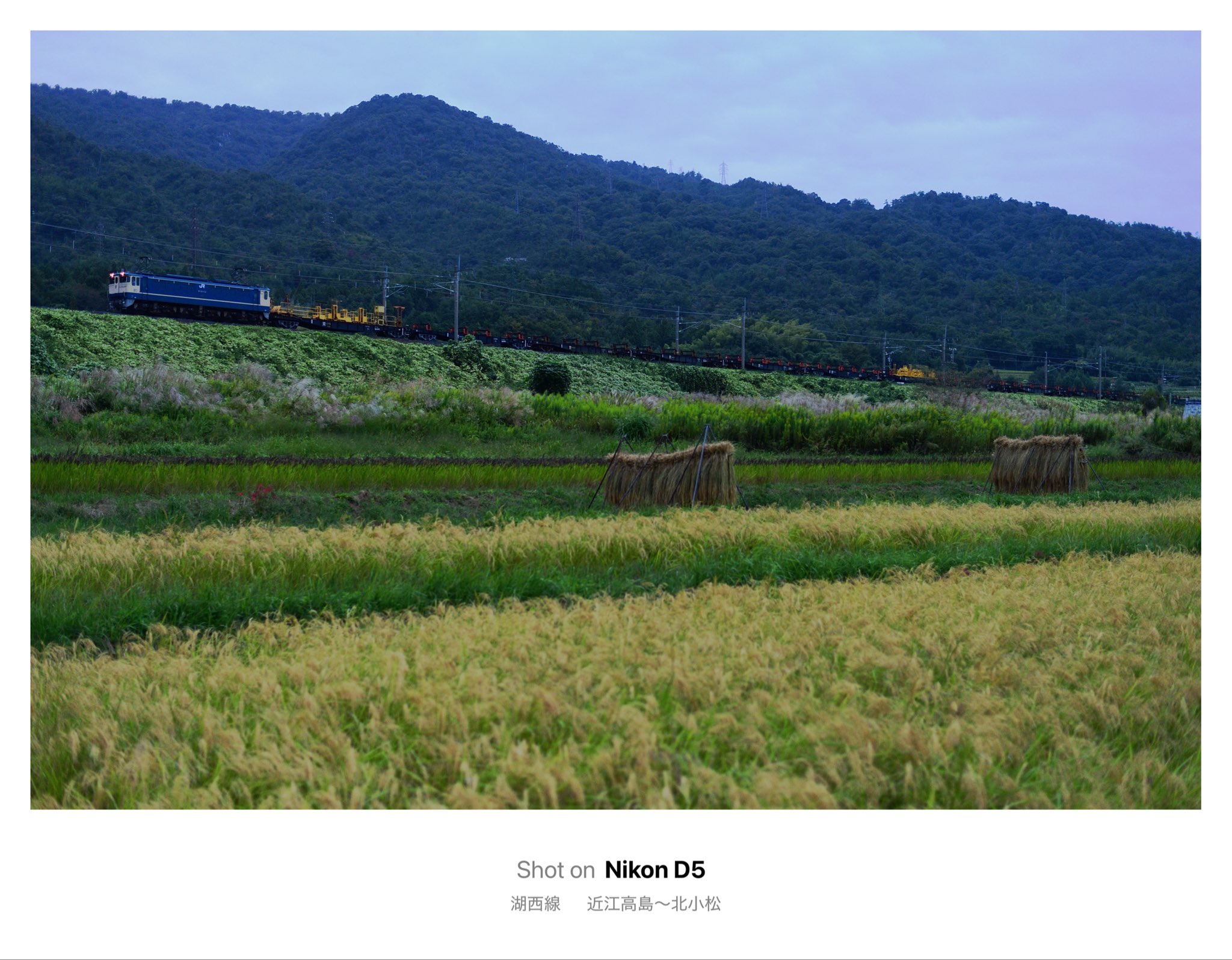 極上　忠盛　春画　置物　52g トヒコ　東さ7-0926ア㉟ 横濱漢祭 2025/扇子（4573675987984）|商品詳細|BAYSTORE ONLINE