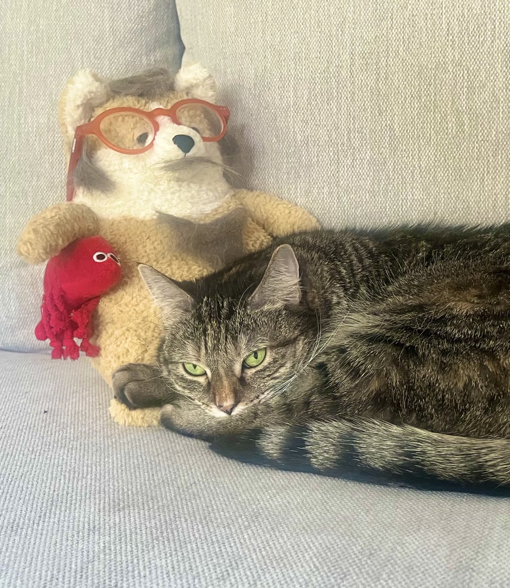 PickliciousF's tweet image. No I am not holding his hand!!! I was just using him for pillow leverage.
