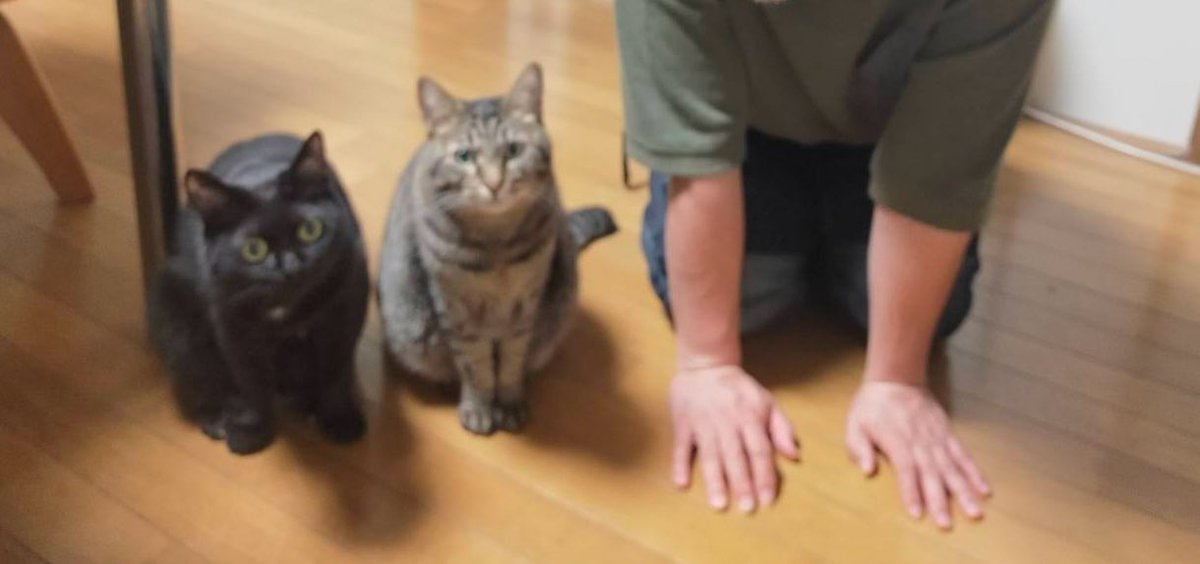 お休みのお知らせ

いつも突然でごめんなさい
10日金曜日、11日土曜日
お休みにして連休をやることにします。
よろしくお願いします🙇