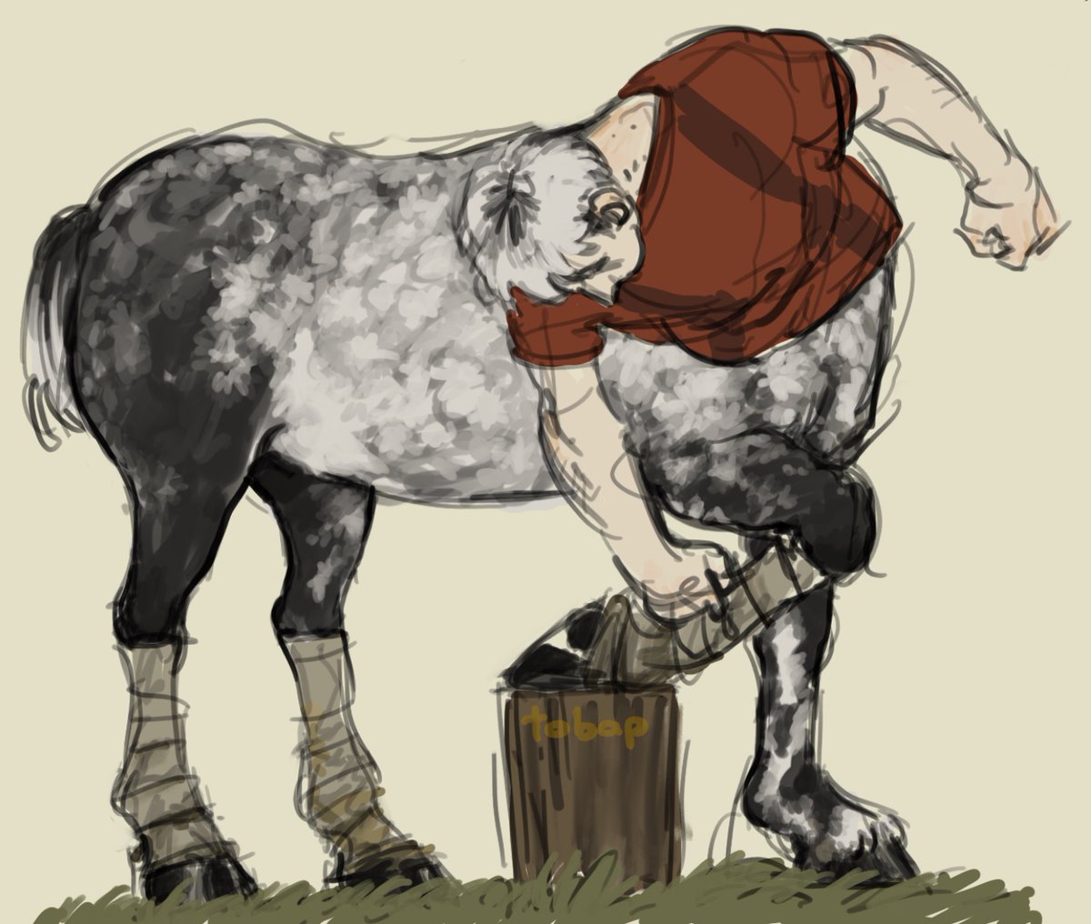 _tobap_'s tweet image. two of my centaur ocs