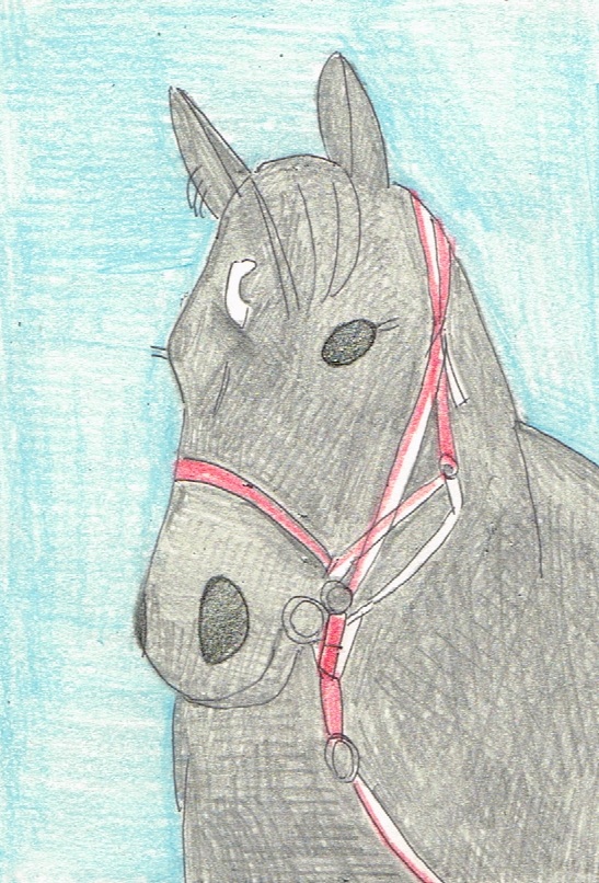 benetnasch0115's tweet image. 2020年コロナ禍の無観客競馬を照らした無敗三冠馬の輝きを忘れない。
日本競馬史上、最もカワイイ三冠馬。
#コントレイル