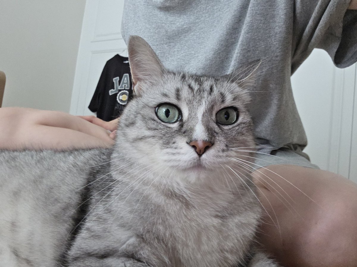 원랜아이뽀니내천사