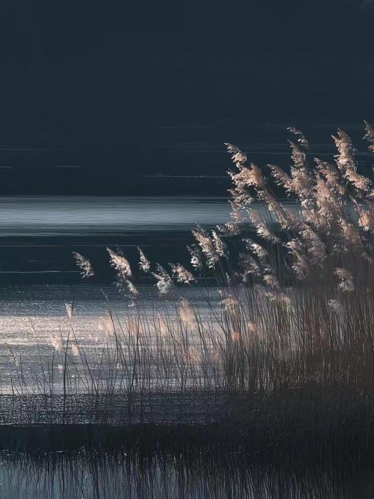 Clear and dustless night 
Silver glowing moonlight