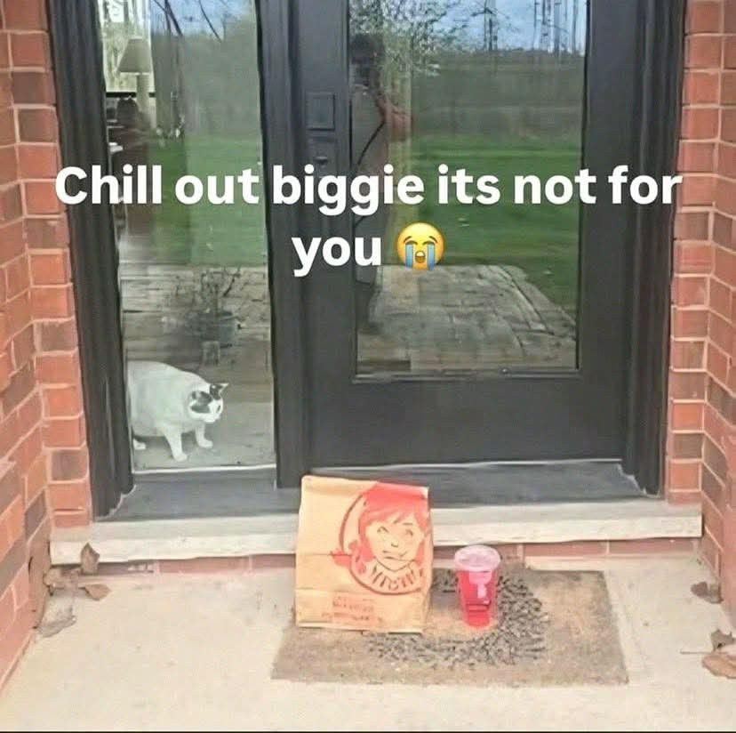 hourly_shitpost's tweet image. 