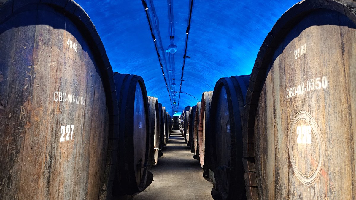 mintous_love's tweet image. 사과와 와인의 도시에서 짧지만 즐거운 시간 보냄🍎