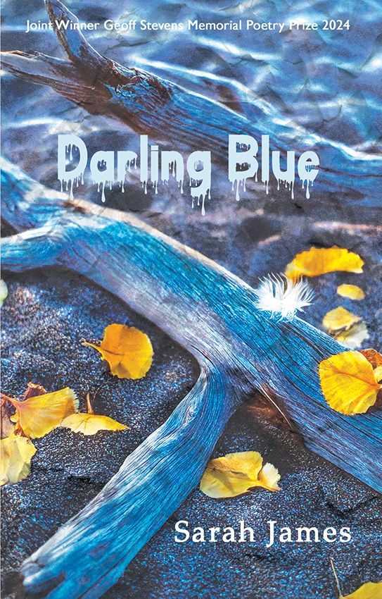 vpresspoetry's tweet photo. Lots of news -- including Substack and editor news, and a round-up of this year's V. Press Prize for Poetry, reviews, new releases, events and coming soon... 
https://t.co/2vwxQbRQtA
@Sarah_James
@RMFrancis https://t.co/zbXRj1YDnO