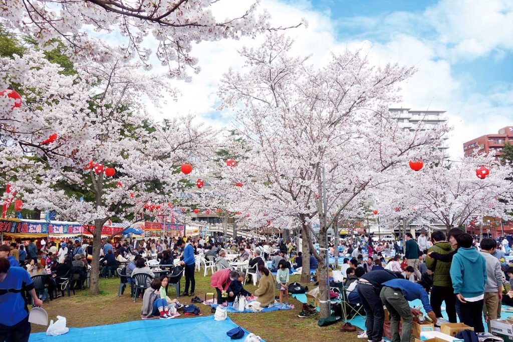 ua_hakken's tweet image. 3️⃣ 四季の美しさに癒やされます。桜、花火、紅葉、雪景色。季節の移り変わりを行事として楽しめる国は珍しいです。日本では自然そのものがアートになります🌸🍁❄️
#四季 #日本の美
