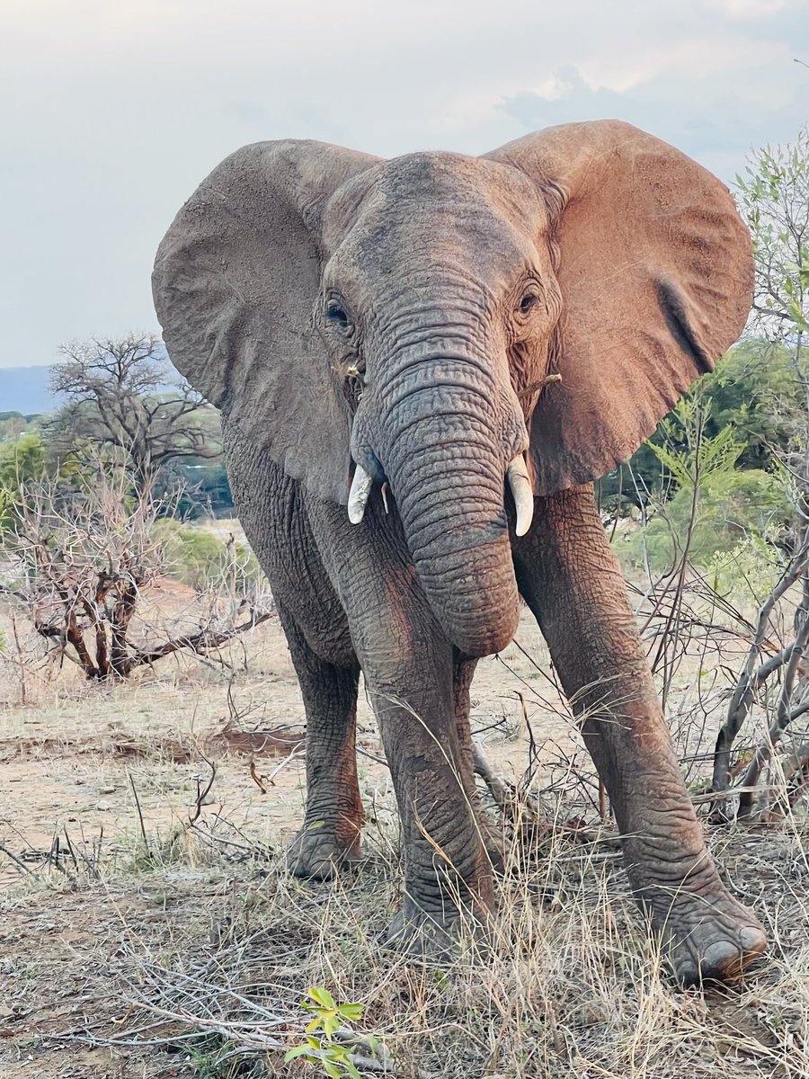 Isn’t she beautiful?😍
#Myoffice
📍KNP