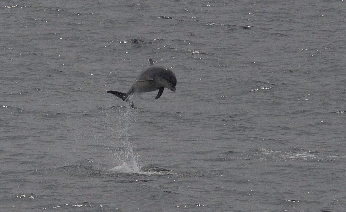 Jenn Knussen 💜 tweet media