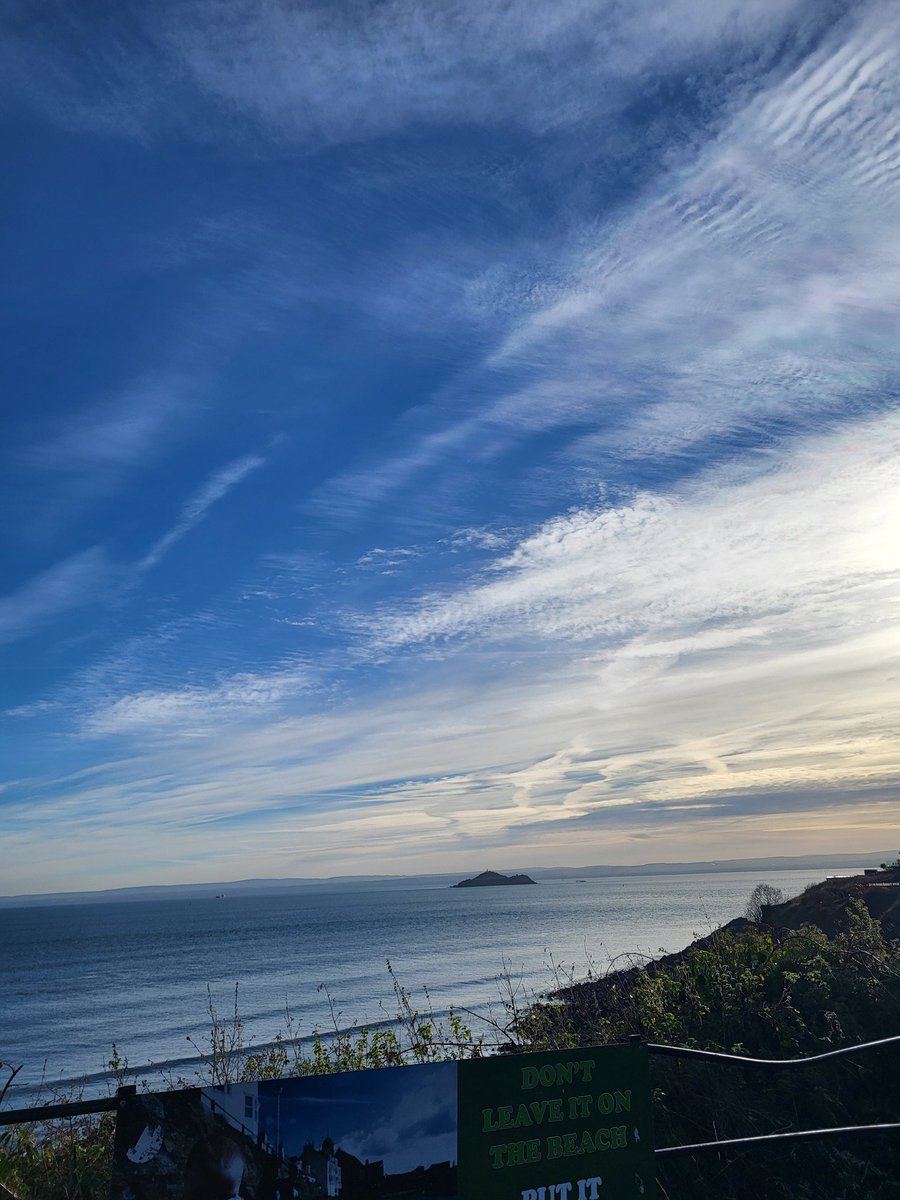 Jenn Knussen 💜 tweet media