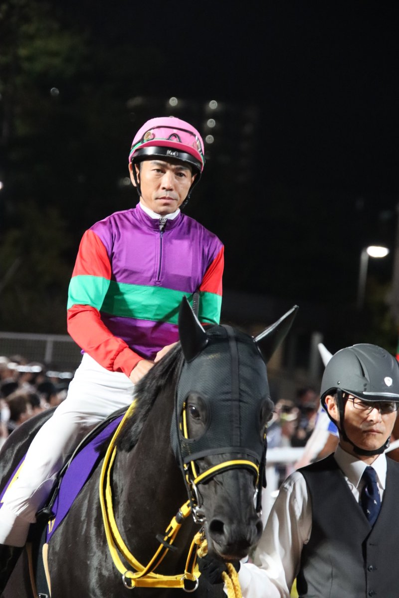 ［新品］馬と踊ろう Dancing with Horses 夕夏 on X