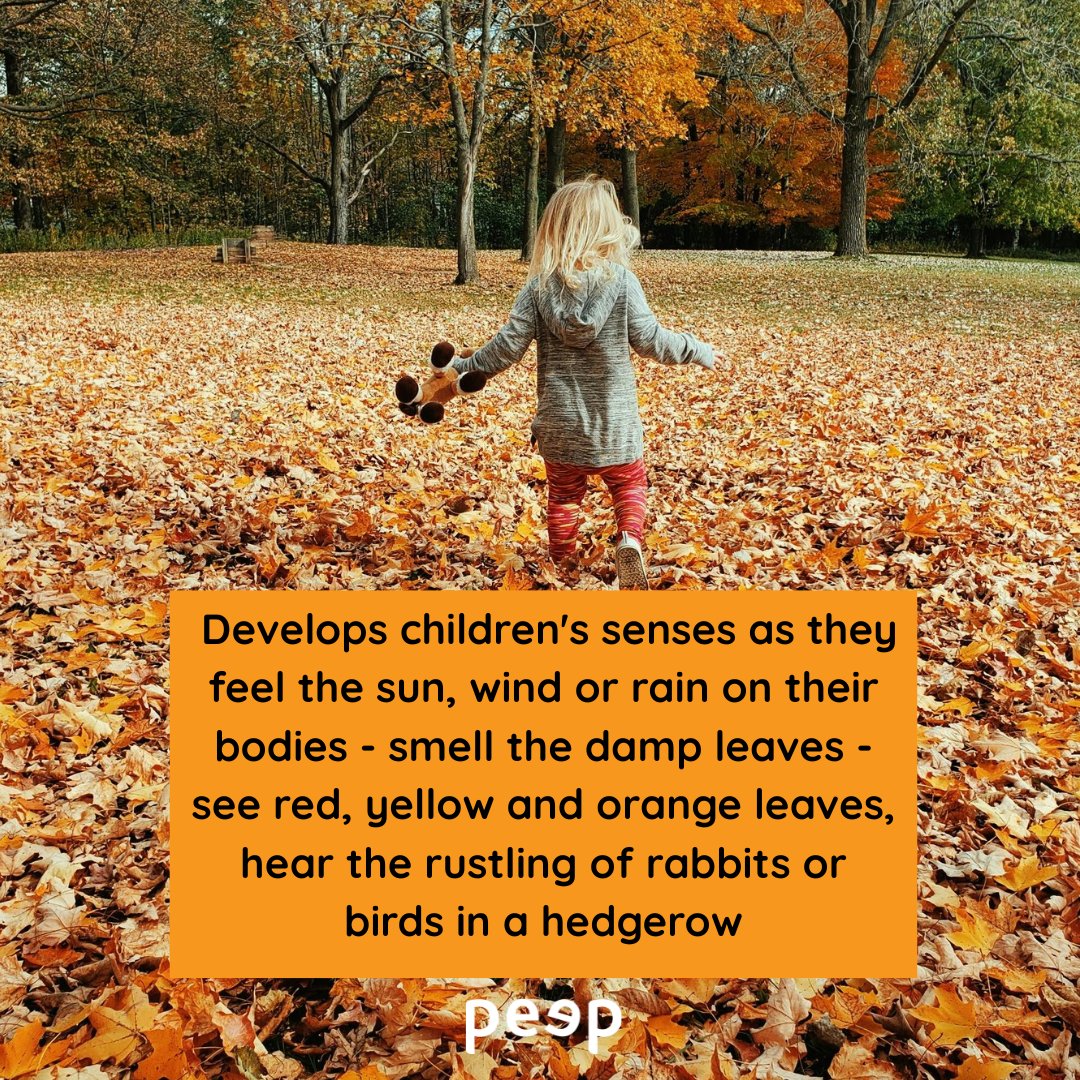 PeepleCentre's tweet photo. 🍂There's no better time than this colourful autumn to get outside with young children to explore nature!

Peep practitioners: for more seasonal content visit https://t.co/dsI1BGRnC8 in the members area 🔐 https://t.co/X1OMwAhUtv