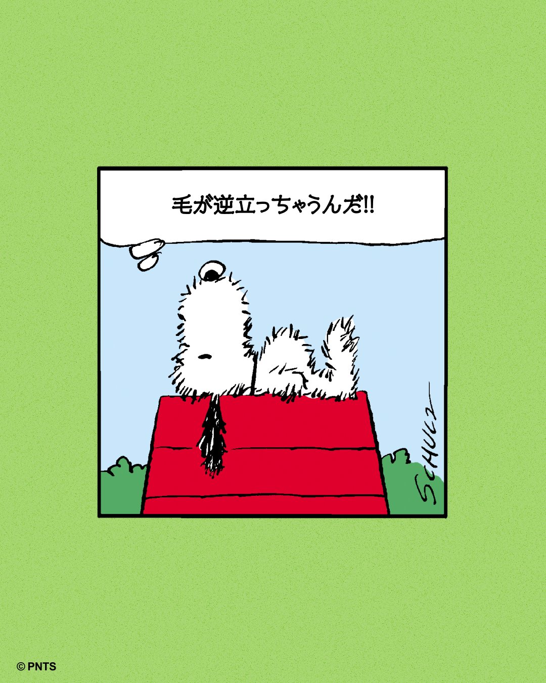 snoopyjapan (@snoopyjapan) / X