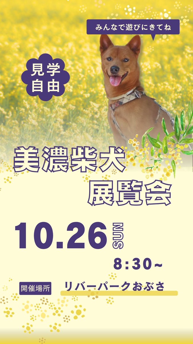 ポスター作ってみた🐾