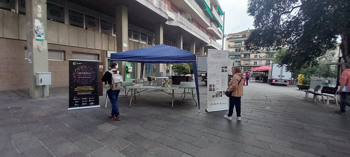 Aquest matí, coincidint amb #NitRecerCAT25 , l'alumnat de 2n del <a href="/somMaragall/">Tot@SomMaragall</a> amb ajuda del <a href="/CREAF_ecologia/">CREAF</a> <a href="/aliancesmagnet/">Aliances Magnet</a> i <a href="/ajsantcugat/">Aj. Sant Cugat</a> han continuat fent Recerca, ara, sobre els conreus al municipi fa 50 anys.