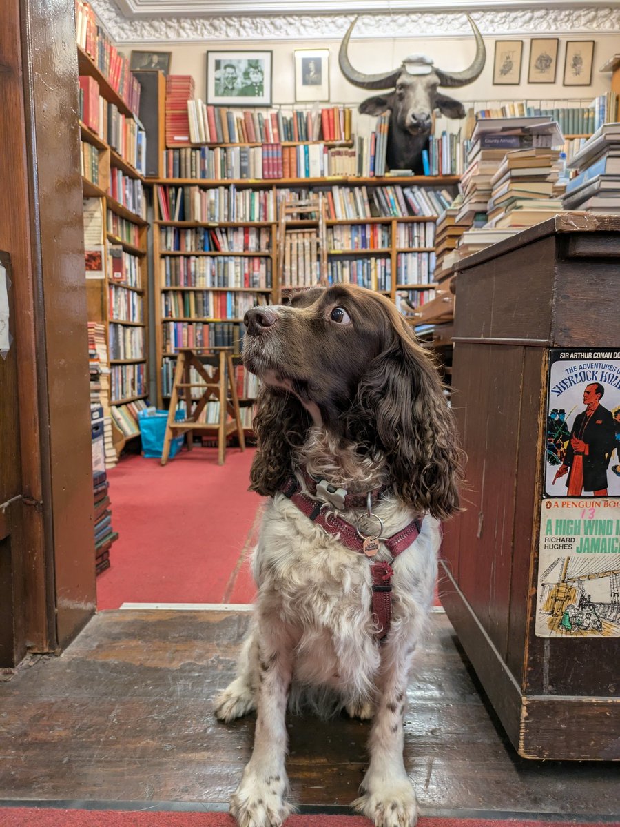 Edinburgh Books tweet media