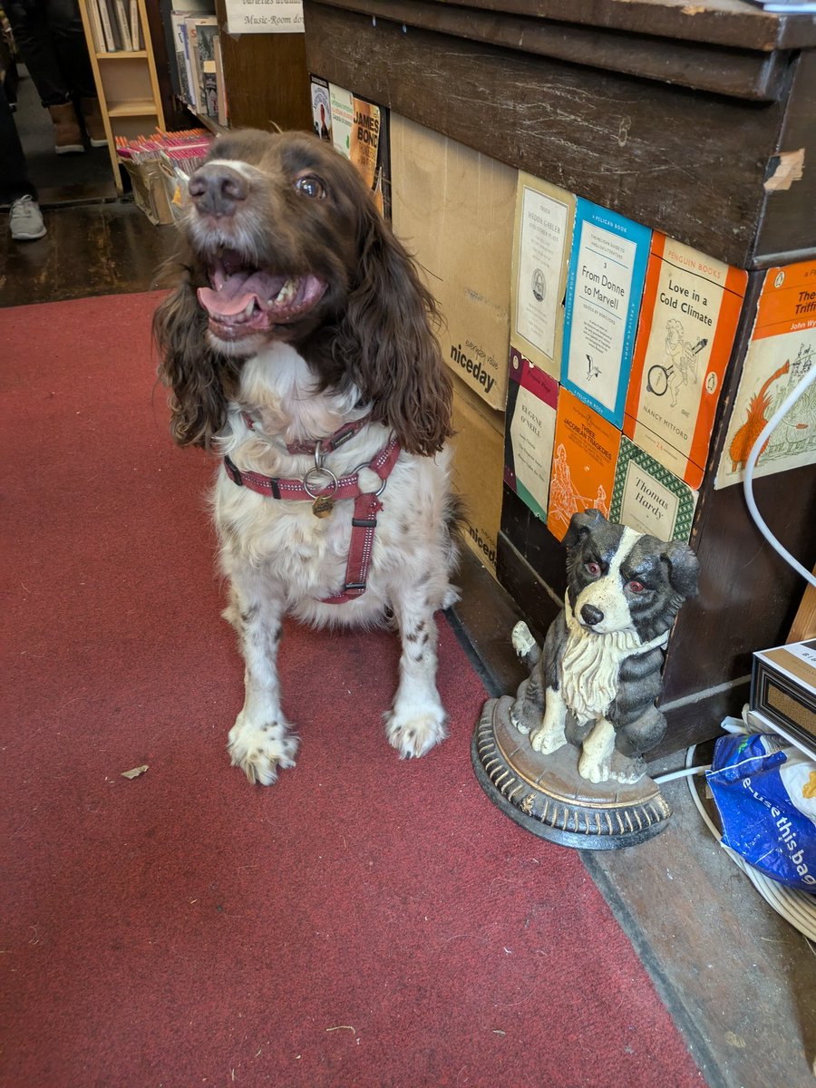 Edinburgh Books tweet media