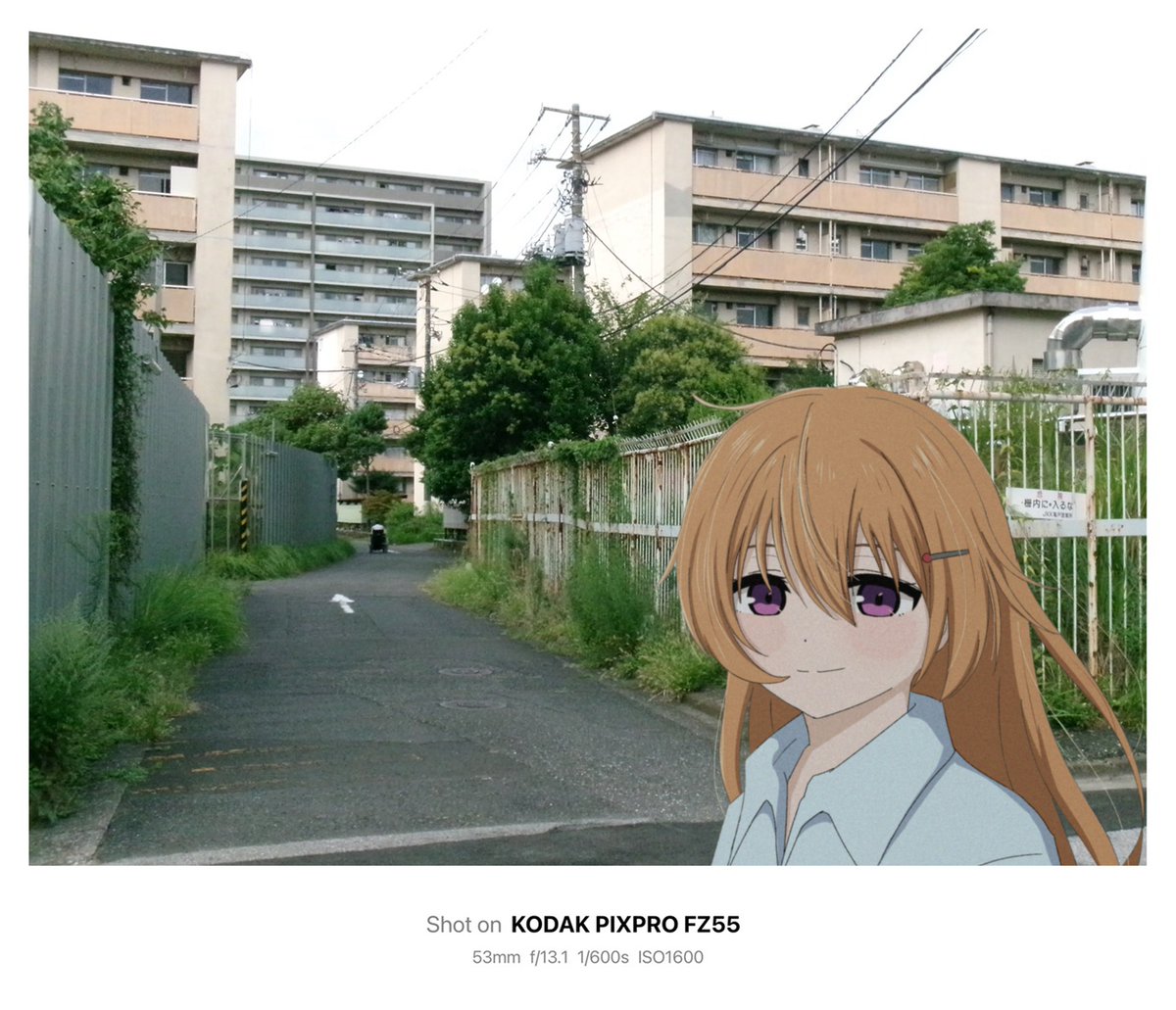 柊様 柊 (@67snkt) / X