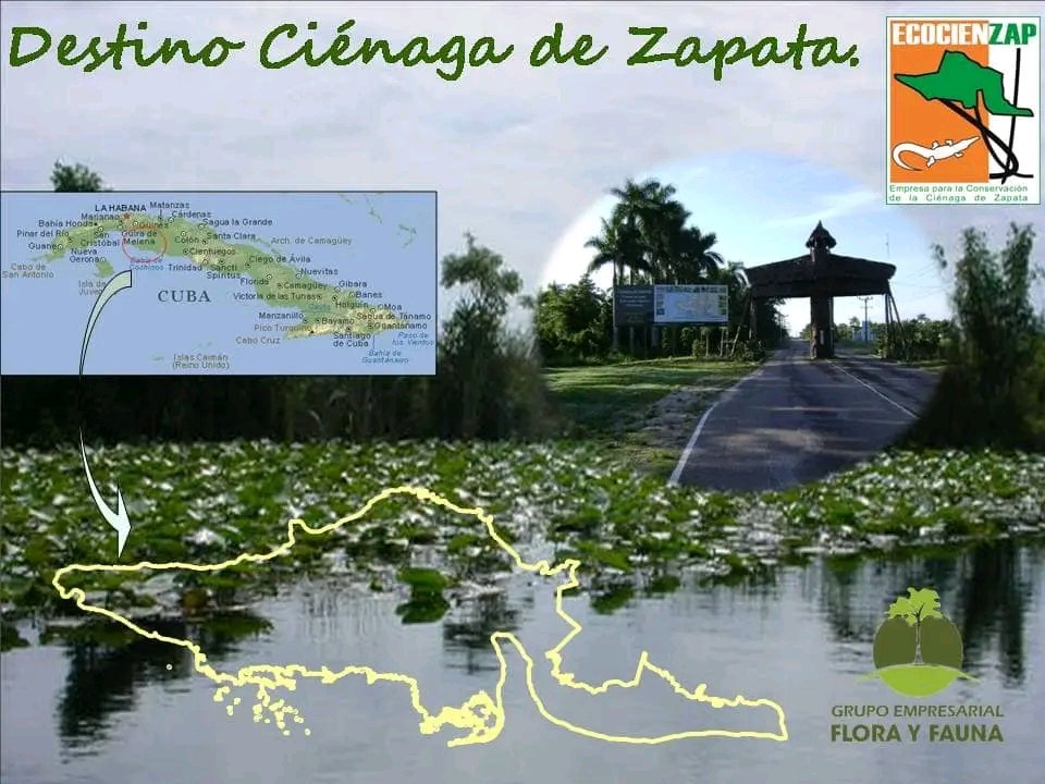 🇨🇺🇫🇷 HOY | Firma de convenio de coop. entre las Reservas de la #Biosfera de la Ciénaga de Zapata y la de Camargue.

✍️Signature de partenariat entre
#ECOCIENZAP🇨🇺🤝#SMCG🇫🇷 
Syndicat Mixte Camargue Gardoise avec L'Ambassadeur <a href="/OttoVaillant/">Otto Vaillant Frías</a> et <a href="/CRAUSTERobert/">Robert Crauste</a>,Maire Grau_du_Roi
🧵