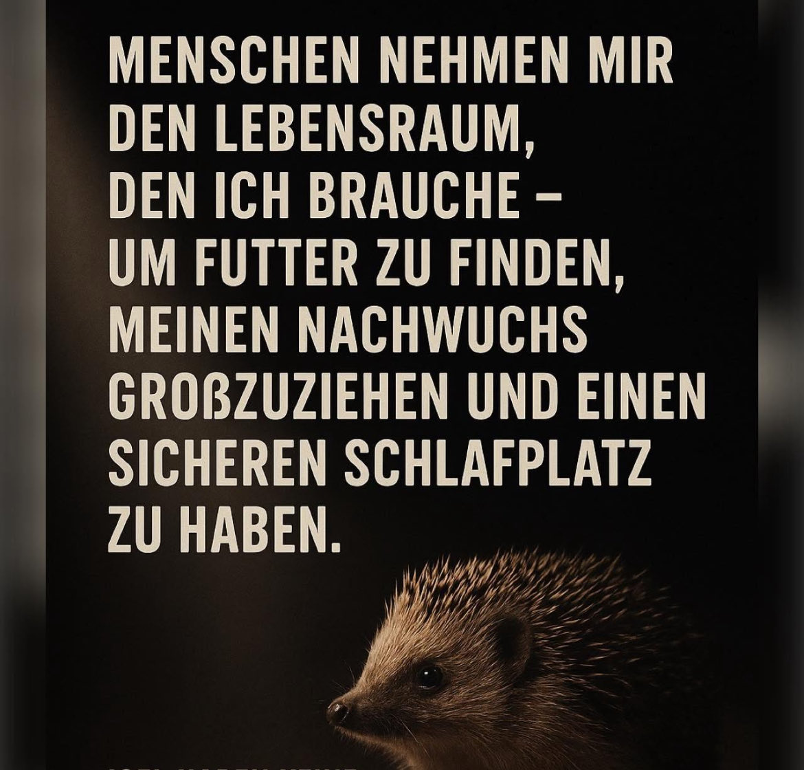 ‼️‼️‼️‼️‼️‼️‼️‼️‼️‼️‼️