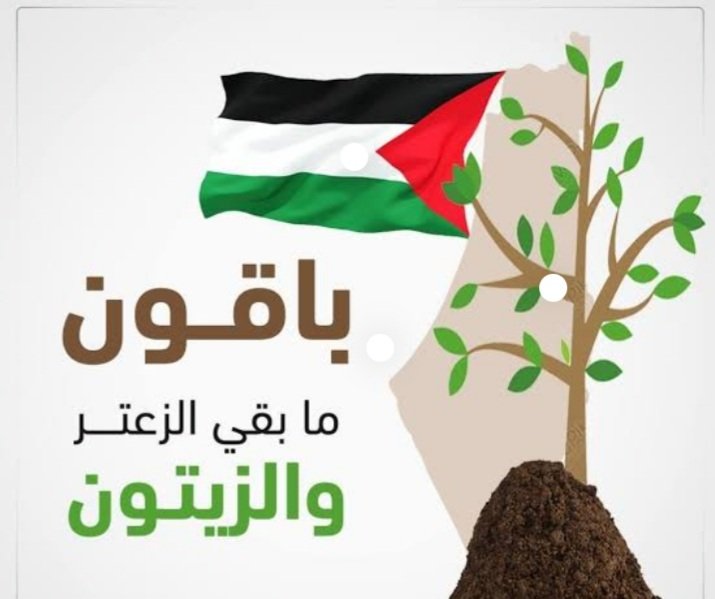 AttaaKarouit's tweet image. #غزة_تنتصر
اللهم لك الحمد والشكر...
