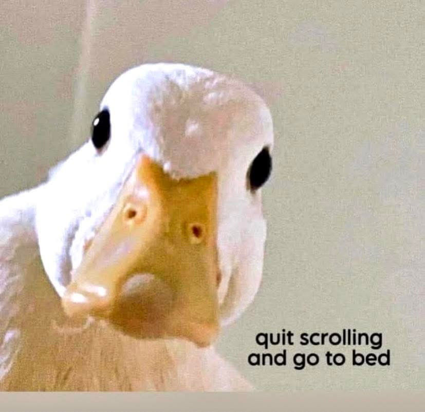 Bryant Burroughs (@bryburroughs87) on Twitter photo 