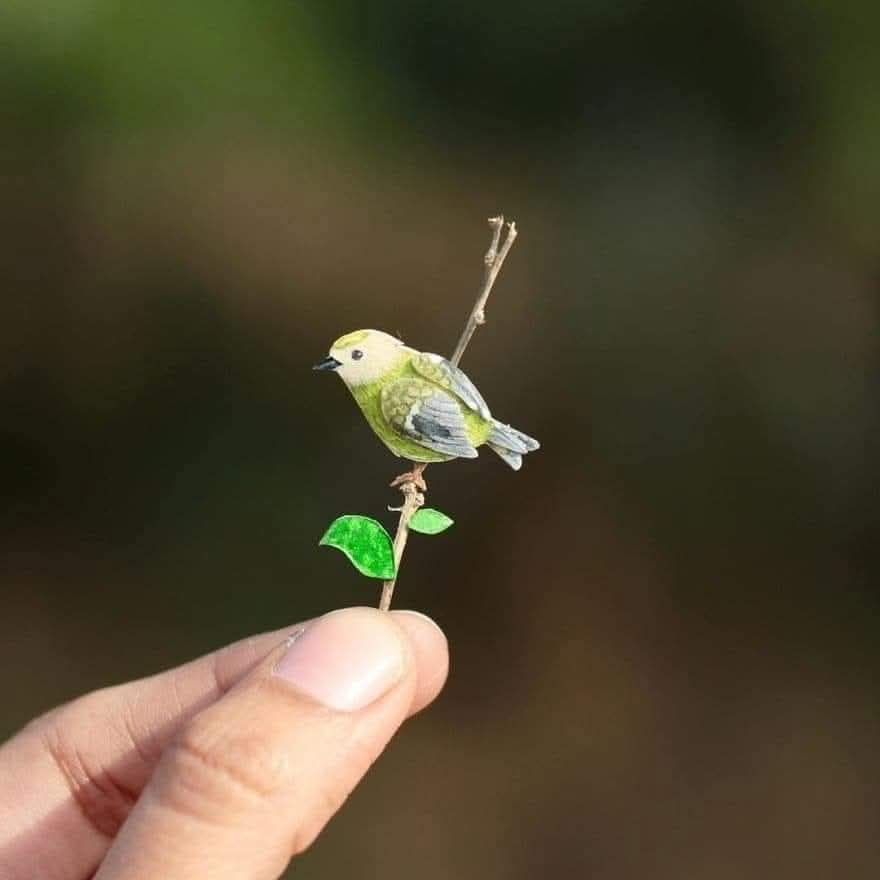 Tweet media one