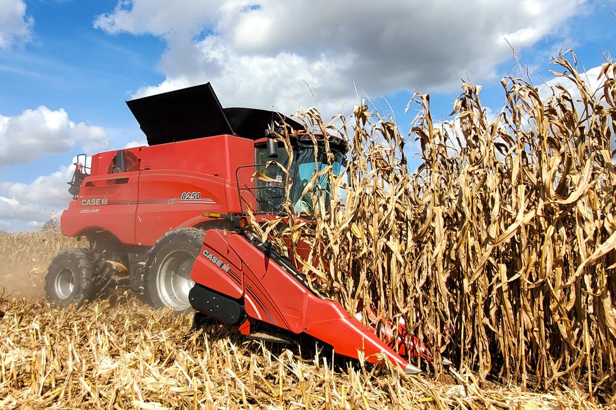 Fields Of Gold
Michael Elben Corn Harvest 🌽
Case IH 8250 Combine – Cordova, MD
#hooberinc #caseih #Harvest2025 #farming