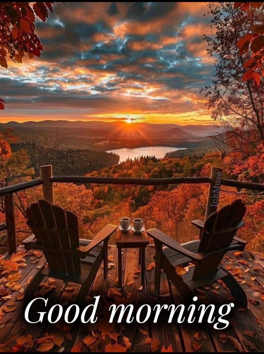 ReelRebel (@teresalambeth) on Twitter photo Wishing everyone a fantastic day πβοΈ Wishing everyone a fantastic day πβοΈ