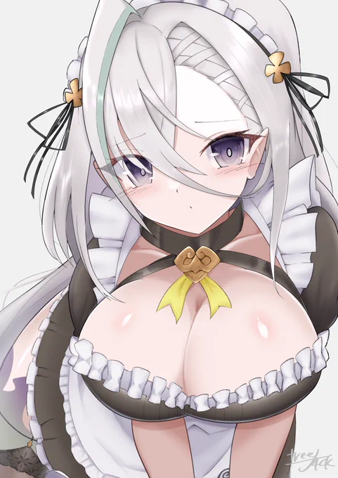 #見た人も無言で銀髪or白髪をあげる