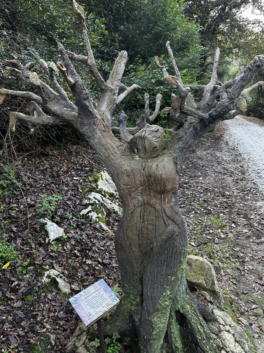 La dama del Bosque
#Alfozdelloredo
#Cantabria