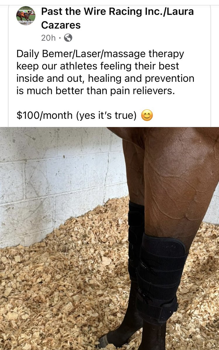 Laura Cazares (@llcazares) on Twitter photo #palmmeadows #tampabaydowns #gulfstreampark 
Limited stalls available 
Quality over quantity 
Message me for more details #palmmeadows #tampabaydowns #gulfstreampark 
Limited stalls available 
Quality over quantity 
Message me for more details