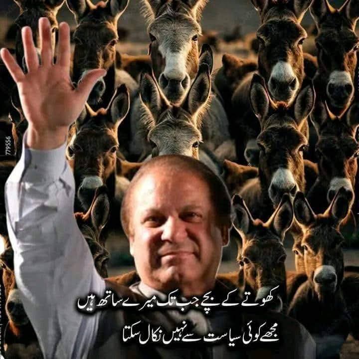 پٹواری گرم کھوتی کے بچے 
#عمران_احمد_خان_نیازی