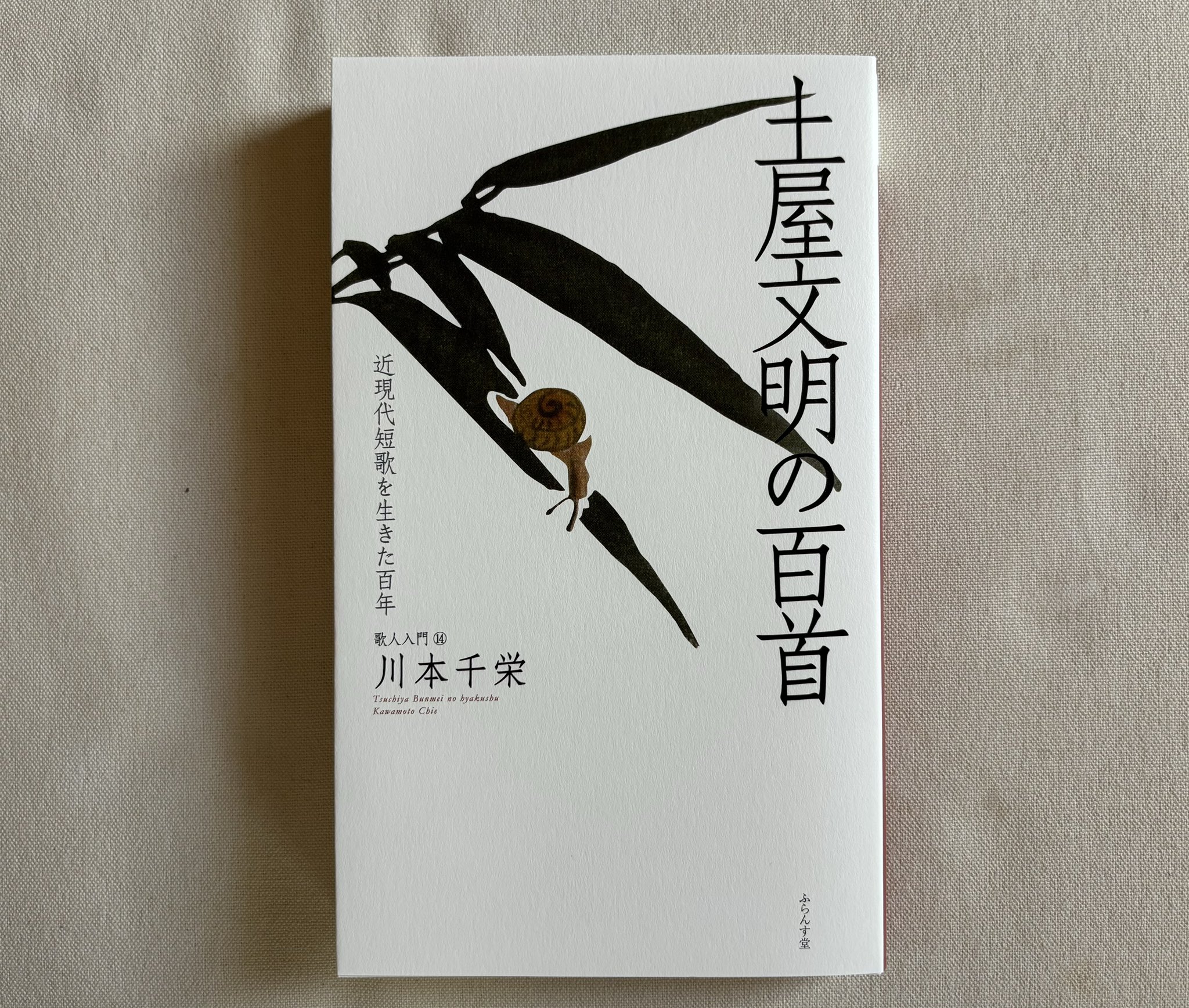 古書 毛沢東詩詞三十七首 沈君黙書 古書 毛沢東詩詞三十七首 沈君黙書