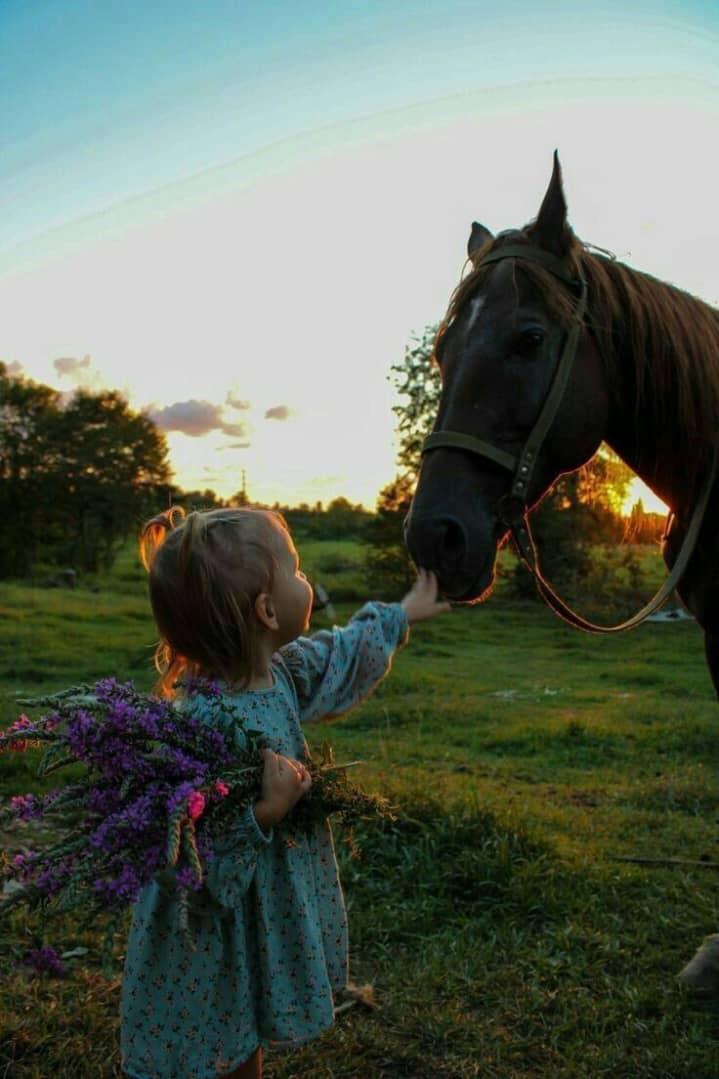 اللهم اگفني شر خلقگ🕊 tweet media