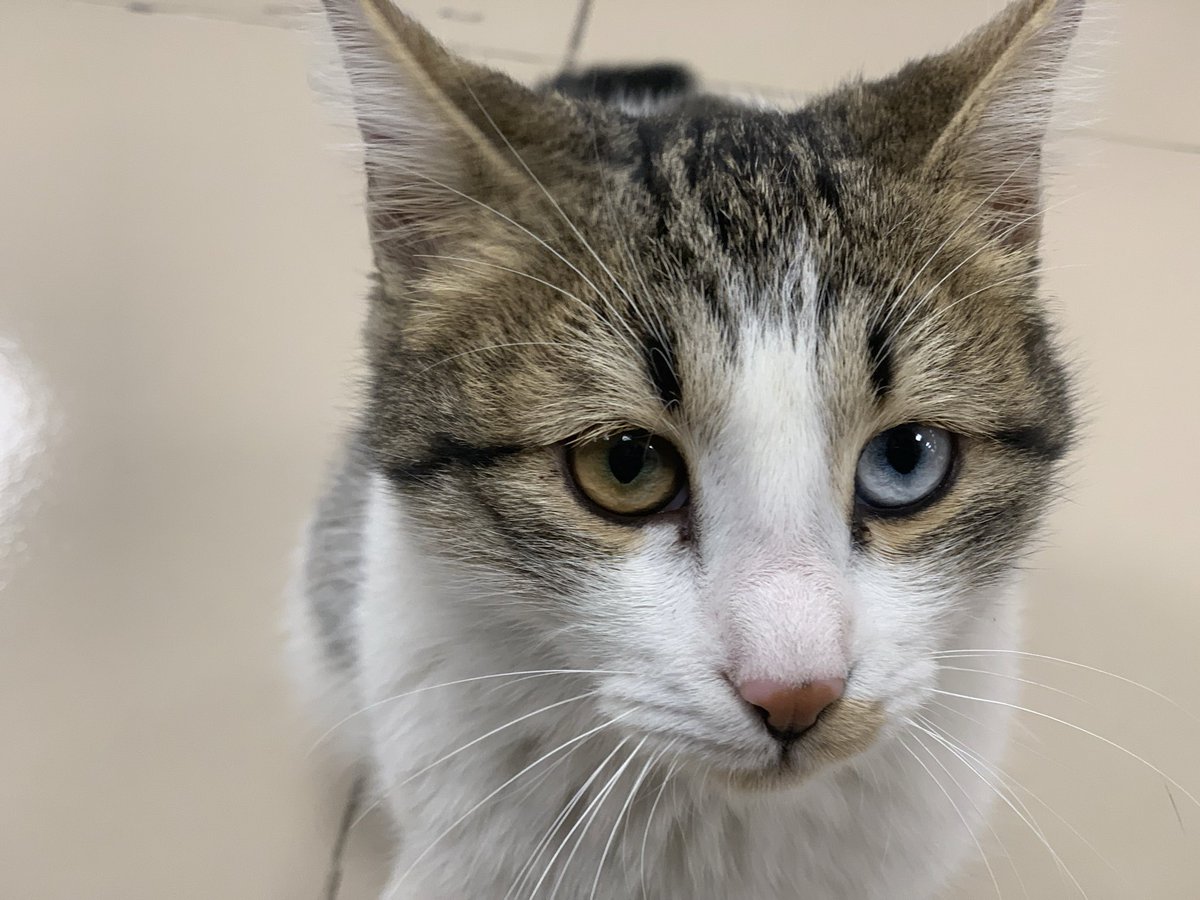 aklımdan çıkmıyor bir an bile