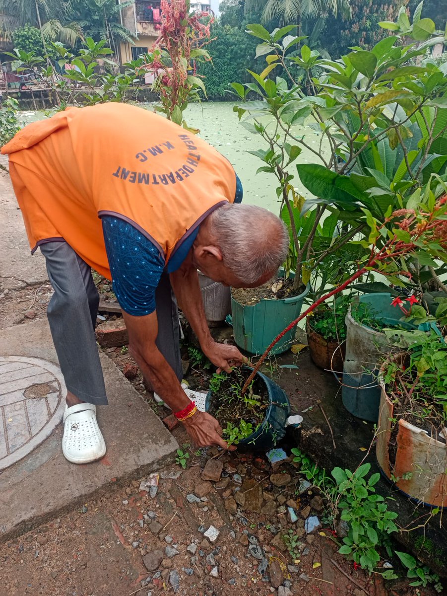 kmc_kolkata's tweet image. A few pictures of the frontline workers of the Vector Control Team on duty across the city.

#VectorControlByKMC #KMConDuty