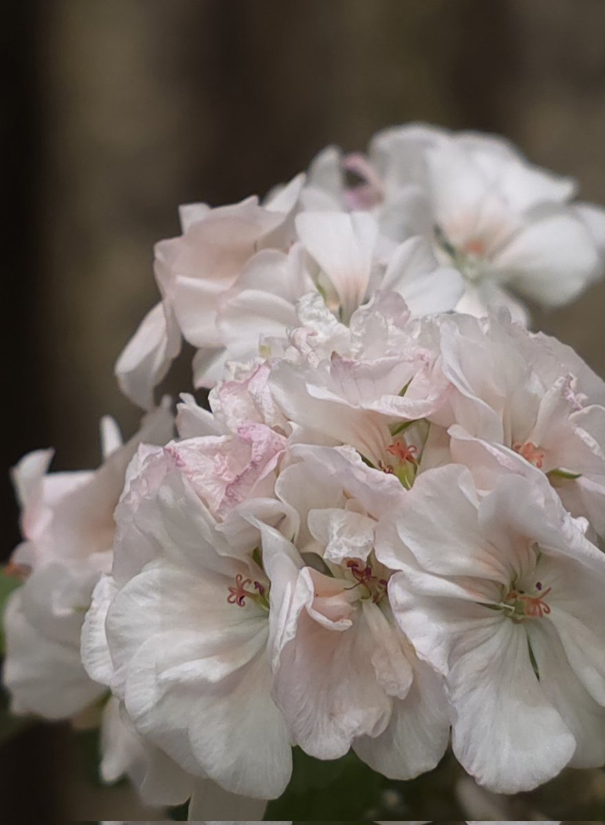 ....шинэ гар утас маань юу бүтээж чадахыг үзсэн юм...