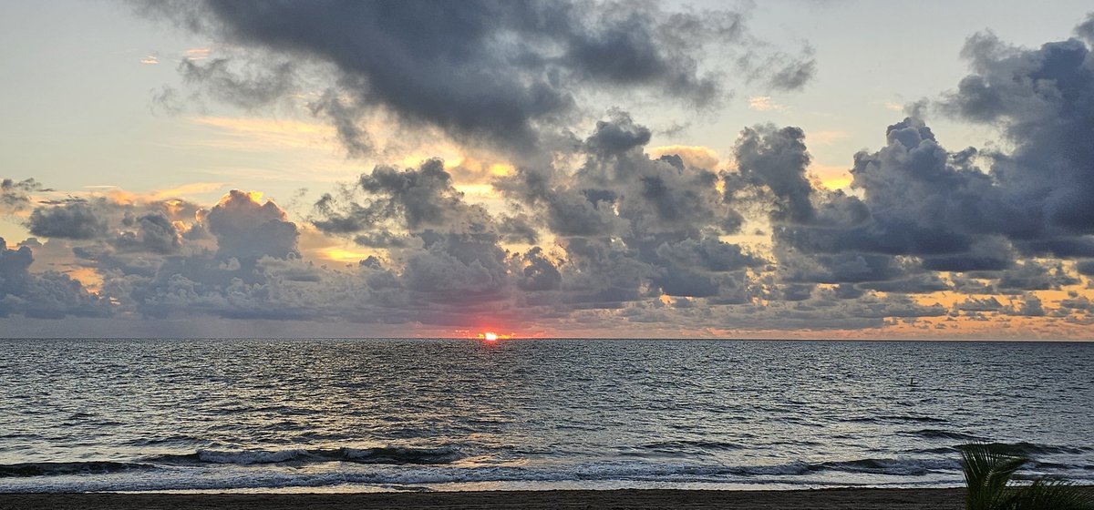 CanvasArtbyBart's tweet image. @WeatherNation #StormHour Fort Lauderdale Florida #sunrise #SuperMoon 
#flwx