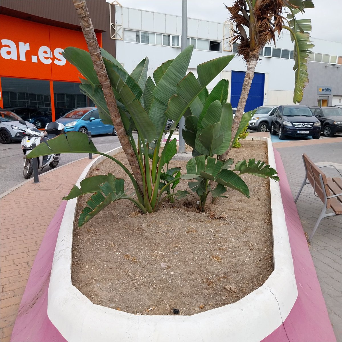 PESantaBarbara's tweet photo. Seguimos conservando nuestras instalaciones. Remodelación total de jardineras¡¡¡ https://t.co/13DAGovwGt