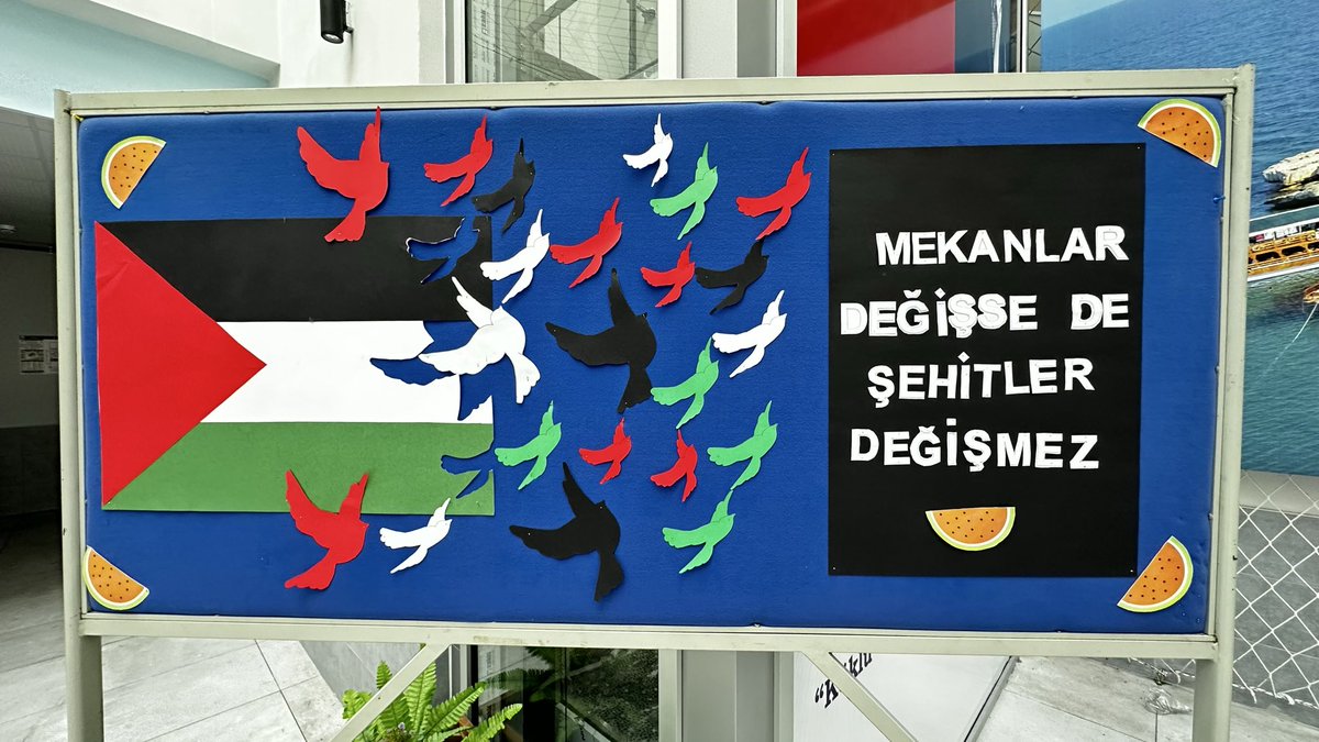 mtsoal_33's tweet photo. ‘Filistin Farkındalık Etkinlikleri’ kapsamında öğrencilerimiz kendi duygularını içeren metinler hazırlamış ve çalışmalar sergi ile okulumuzda paylaşılmıştır. Öğretmen ve öğrencilerimize teşekkür ederiz. 
@fazilet_durmus 
@MersinMEM 
@kaanaydemir_33 
@toroslarmem 
#mtsoal https://t.co/MqGsqleuM3