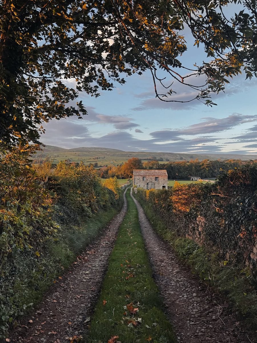 visitnorthyork's tweet image. Golden paths through Wensleydale 🍂