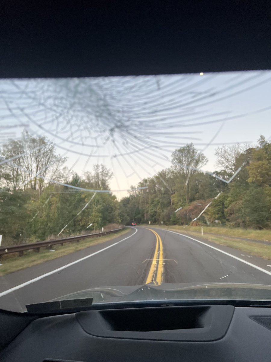 Welcoming ‘what is’ becomes a crazy practice when a giant tree branch crashes into your roof in the dark! Surprised!