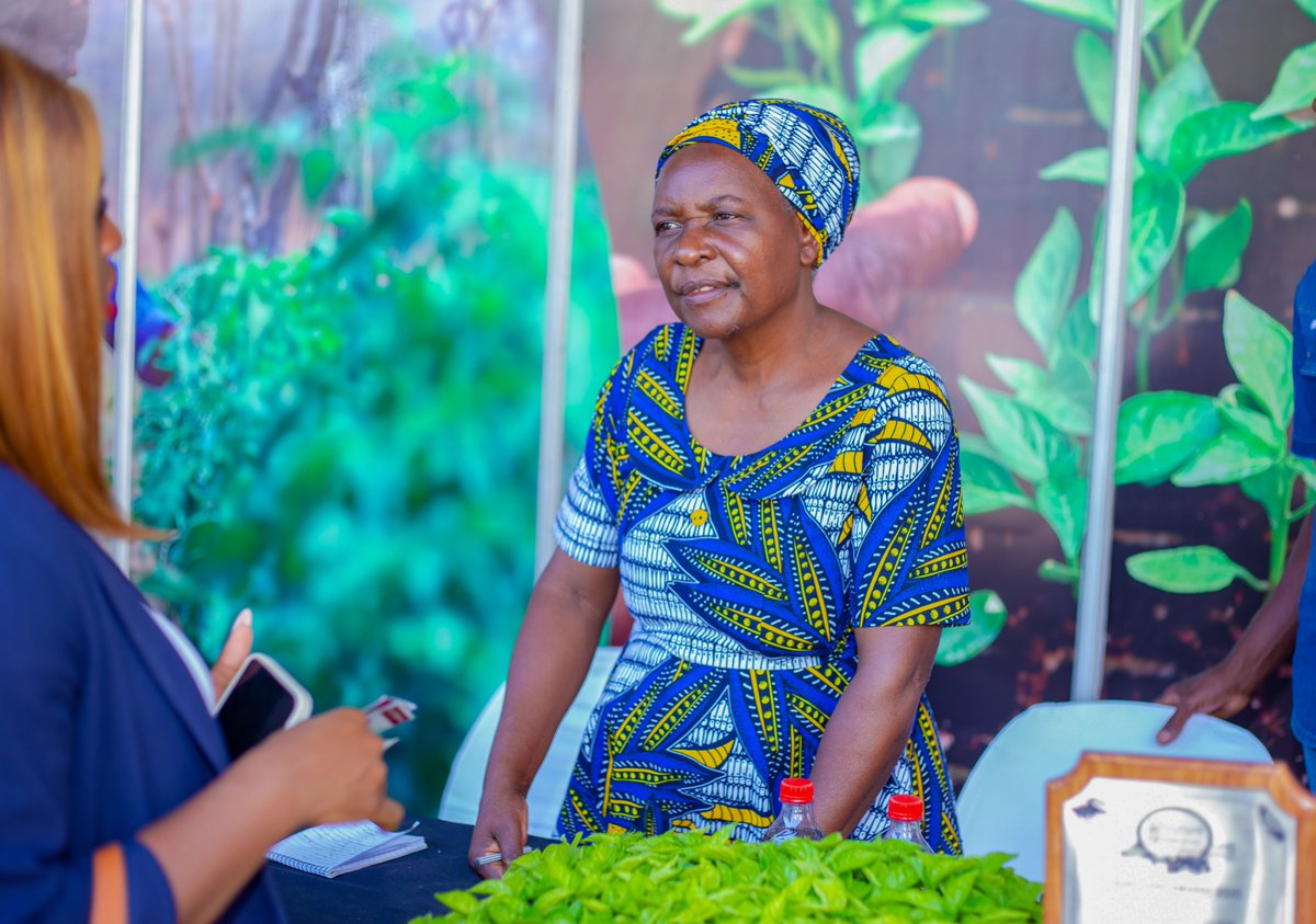 Groupe_AfDB's tweet photo. PHOTOS de la 1ère journée du #FAD17 à Lusaka, en #Zambie. https://t.co/Y0Jta323ju