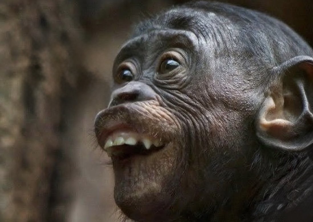 [오렌지필 먹일 때의 그 쾌감]

지인 : 비트코인 시작하고 싶은데 뭐부터 하면 되요..?

나(비트코이너) :