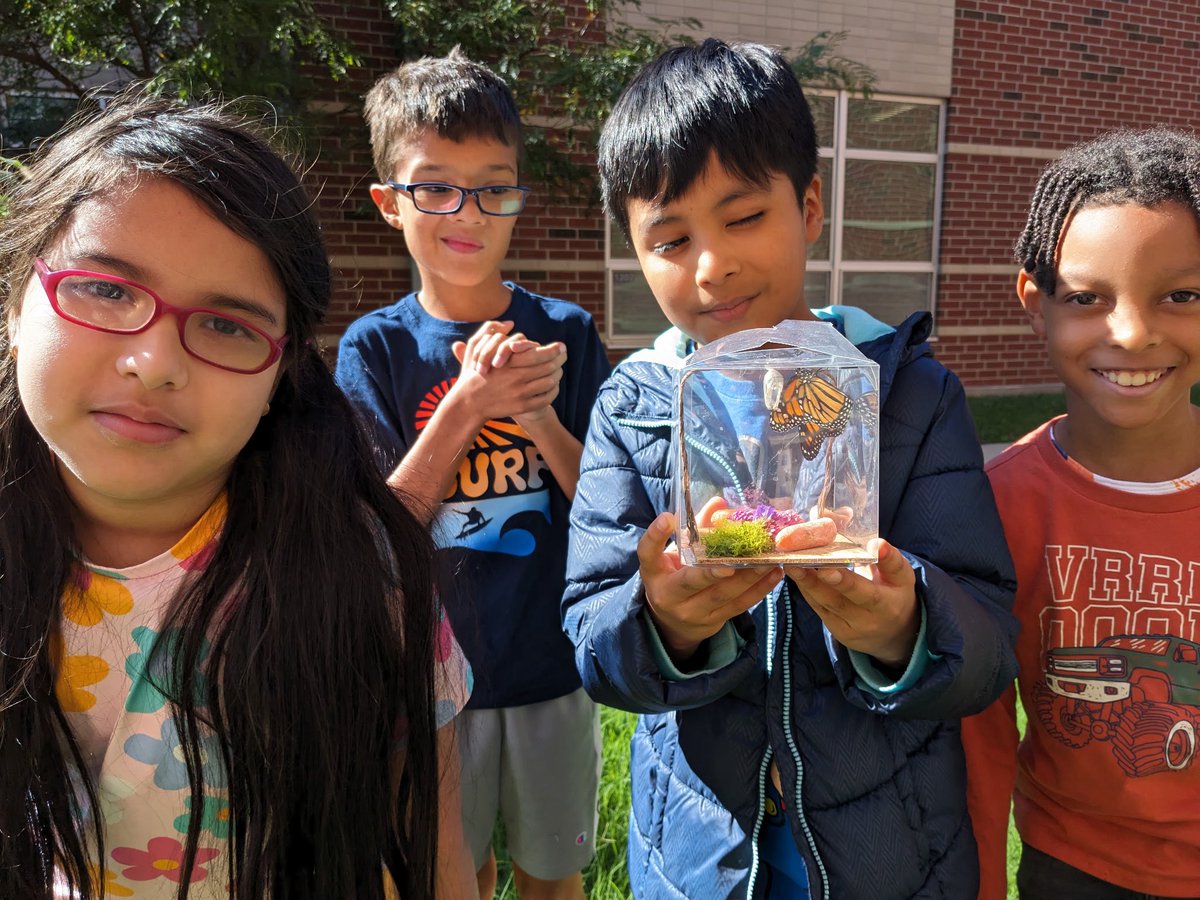 fcsdcentral's tweet image. Mrs. Ponton’s students had a great time learning about the life cycle of a butterfly. 🦋 The students named him Bob and set him free this week!
