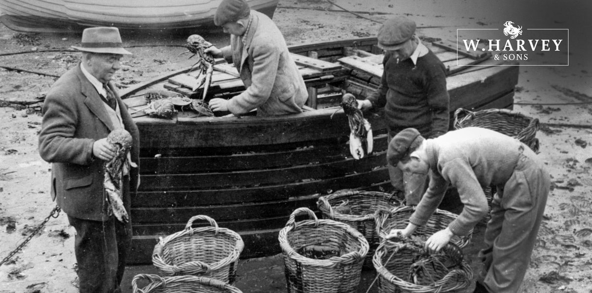 Throwback to 1979 where you can see William Harvey, Gerald Harvey, Ronnie Harvey &amp; Jack Harvey grading live lobsters and crawfish from a beached store box in Newlyn Harbour, despite moving to the tanks in the 80s, not much has changed!#wharveyandsons #crabmeat #shellfishmerchants